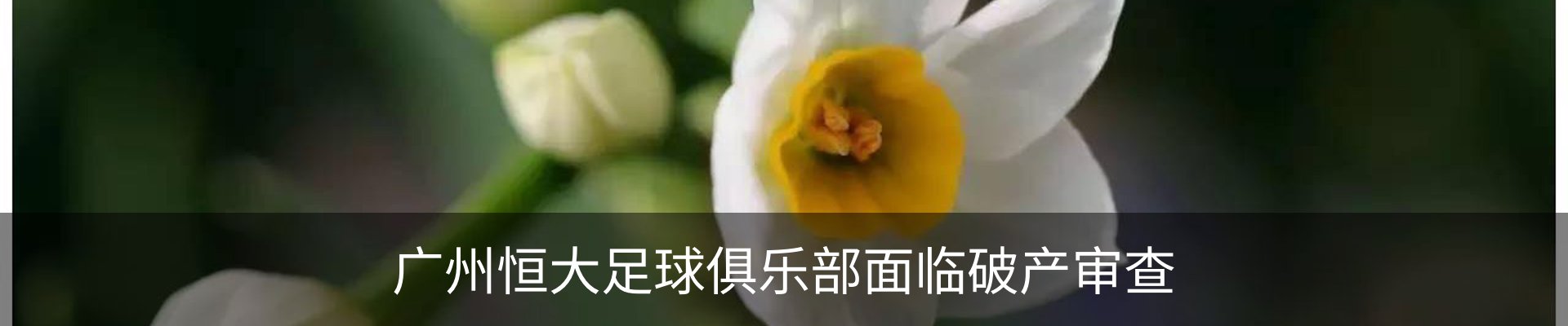 新闻动态